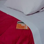 戴安娜酒店 埃尔莫波利斯
