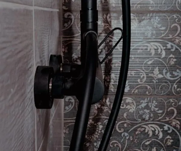 Diana エルムポリ