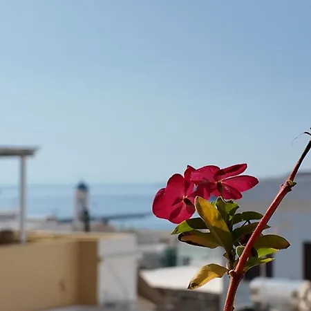 公寓 戴安娜酒店 埃尔莫波利斯