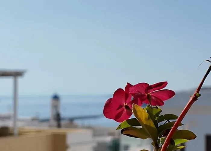 아파트 Diana 에르무폴리